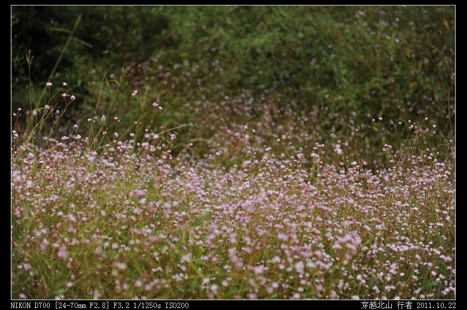 DSC_9810.jpg