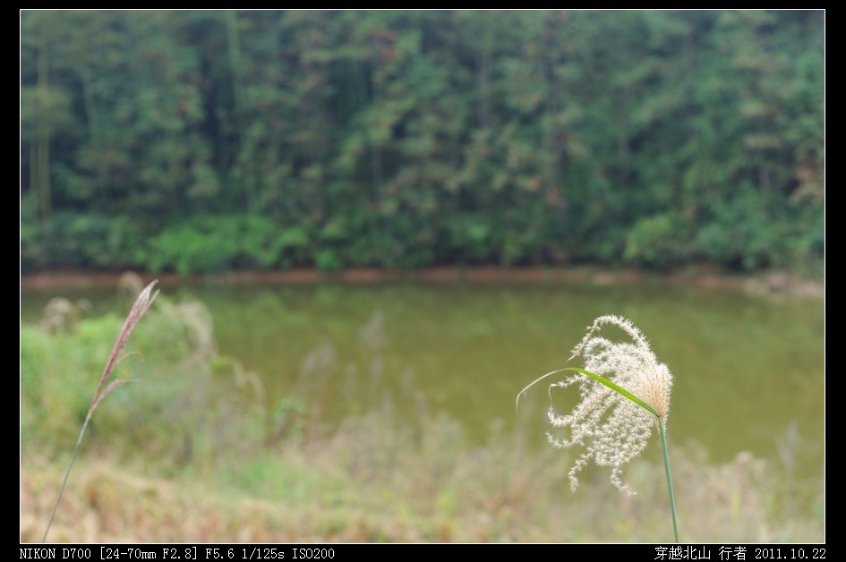 DSC_9852.jpg
