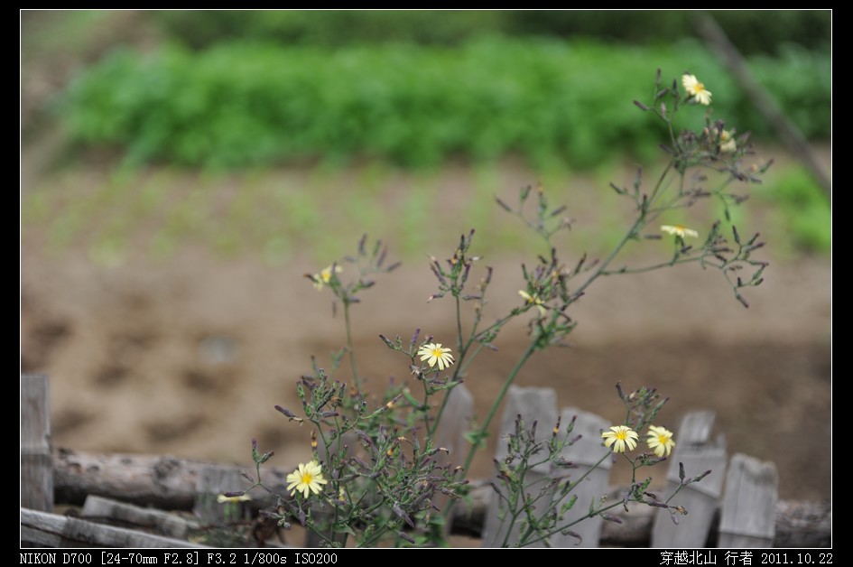DSC_9854.jpg