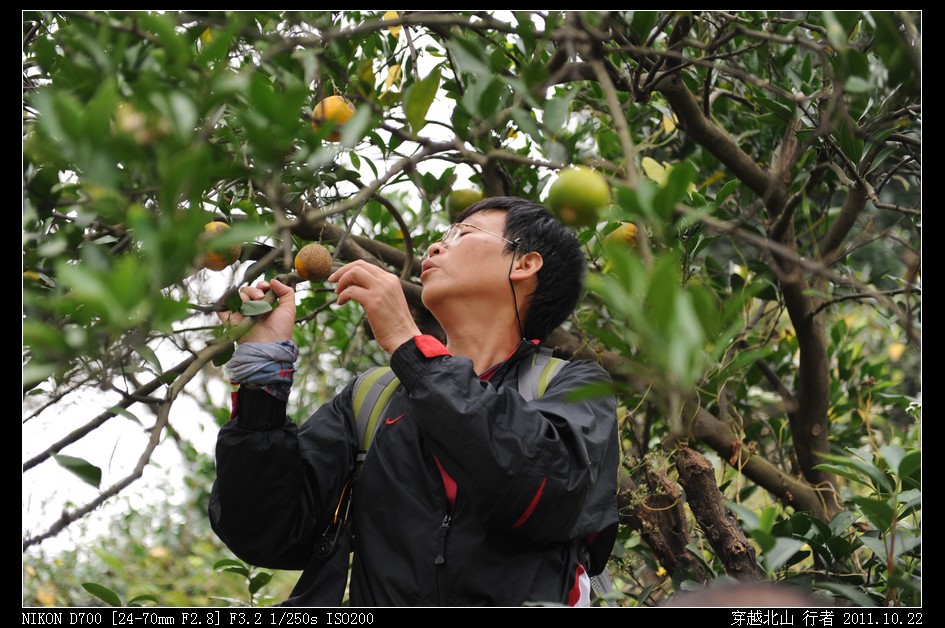 DSC_9859.jpg