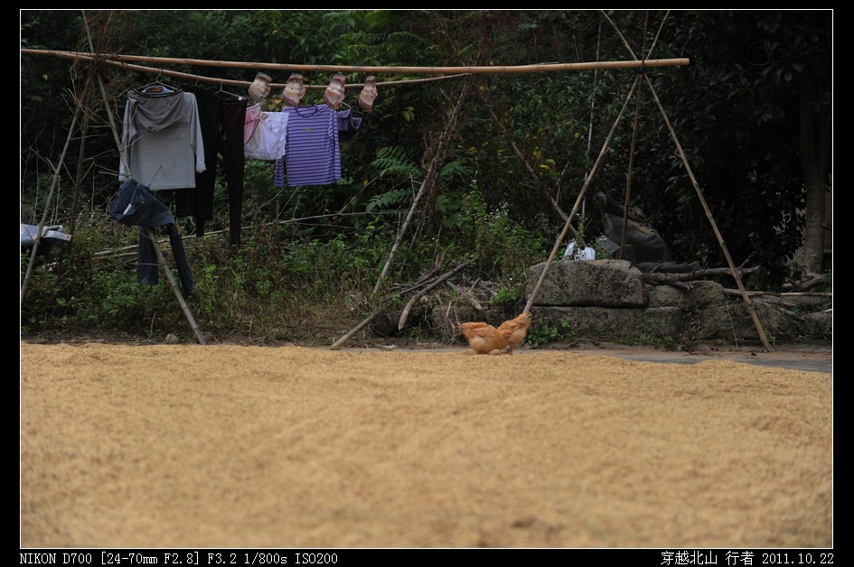 DSC_9862.jpg