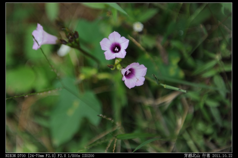 DSC_9880.jpg