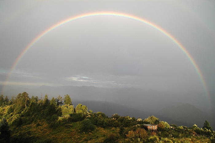 DSC_1150.JPG