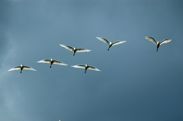 DSC_2586.JPG