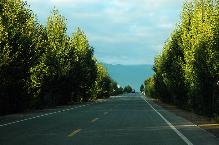 DSC_9779.JPG