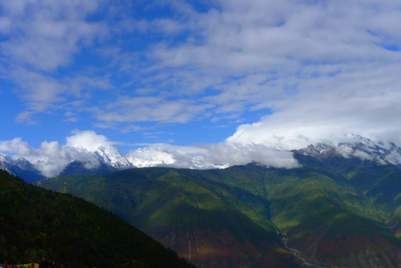 P1010844_conew1.jpg
