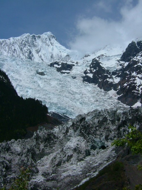 DSCF3736_conew1.jpg