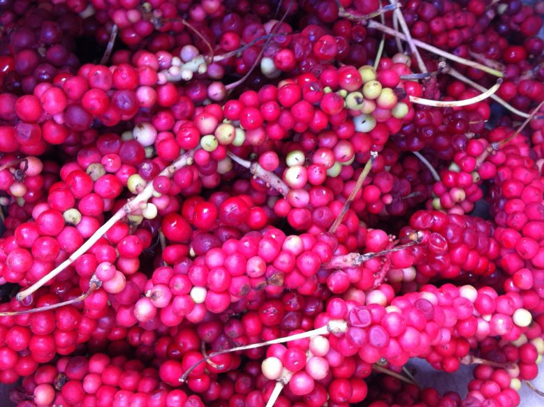 101APPLE_IMG_1772_conew1.jpg
