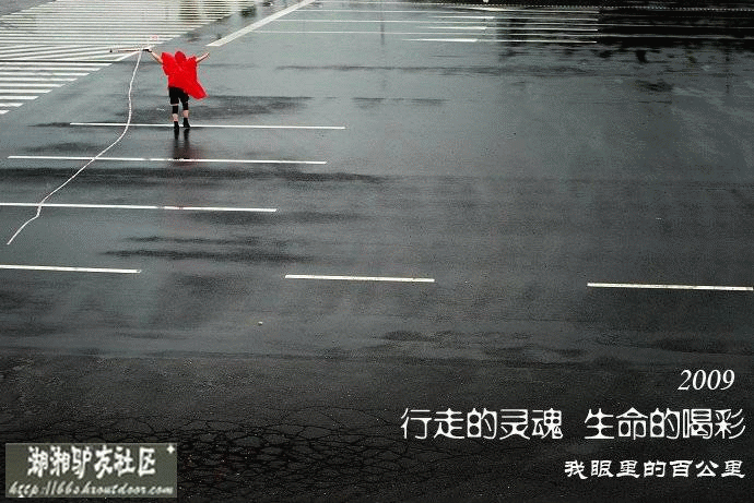 ˾���һ��.gif
