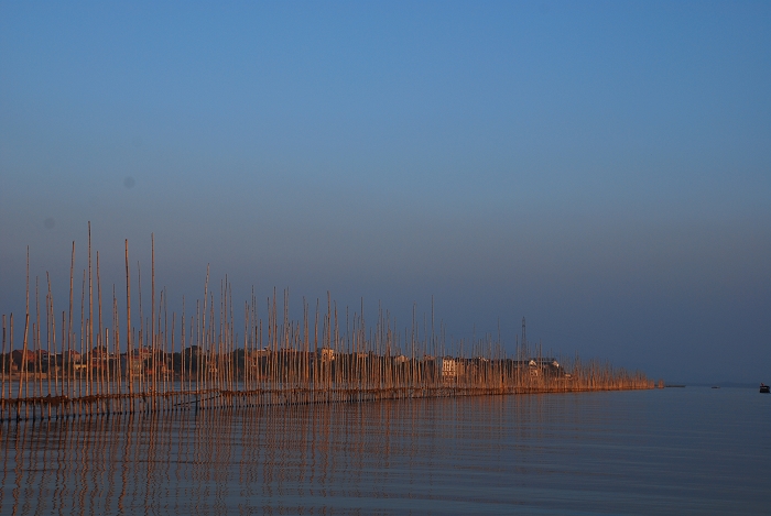 DSC_1208.jpg