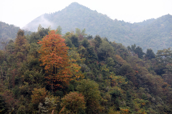 20111105125608296.jpg