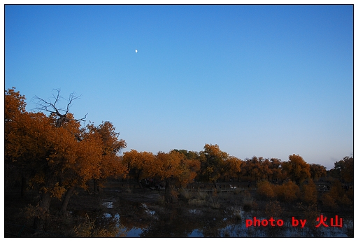 DSC_7664.JPG