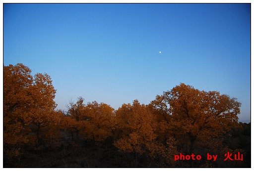 DSC_7668.JPG