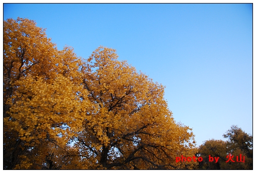 DSC_7667.JPG