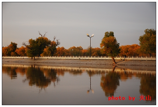 DSC_7694.JPG
