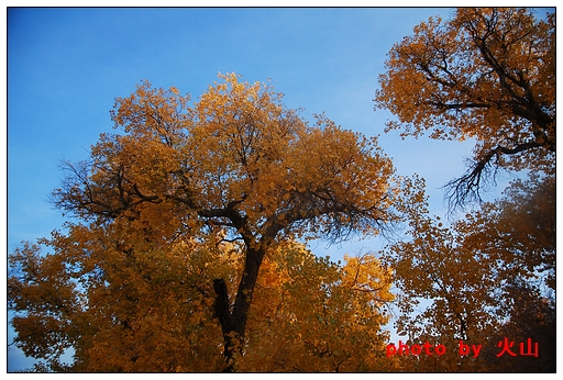 DSC_7695.JPG
