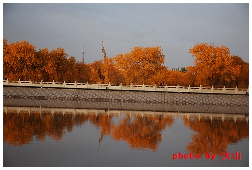 DSC_7693.JPG