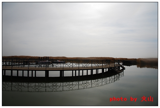 DSC_7751.JPG