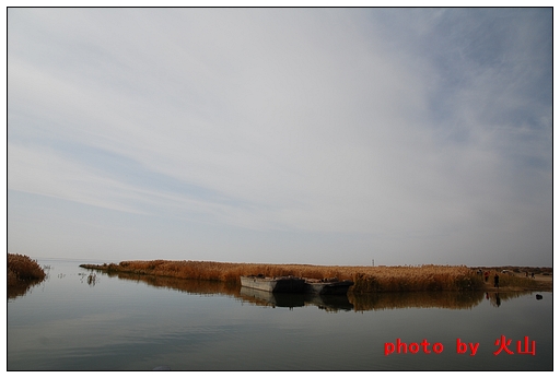 DSC_7755.JPG