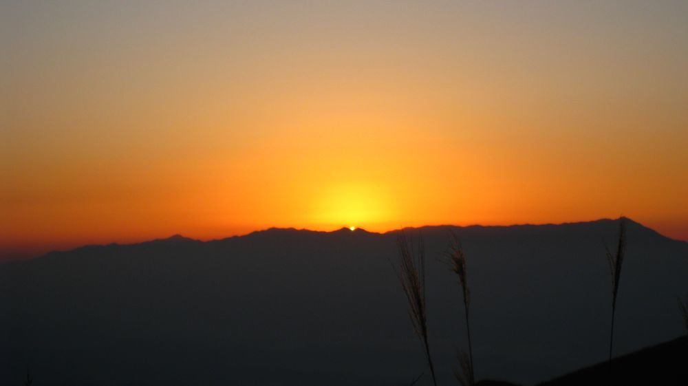 IMG_9587.jpg
