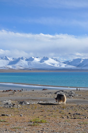 DSC_2152.jpg