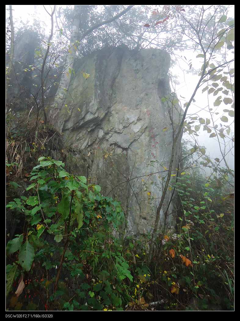 DSC01929.jpg