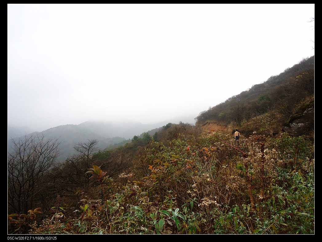 DSC02012.jpg