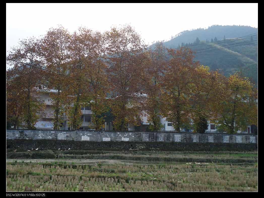 DSC02115.jpg
