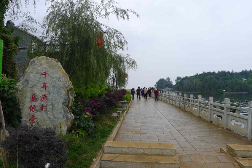 P1010902_conew1.jpg