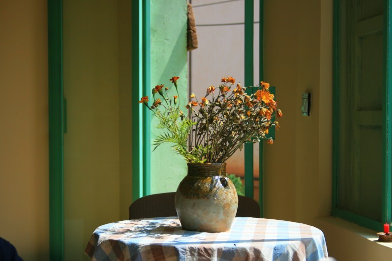 IMG_6492_conew1.jpg