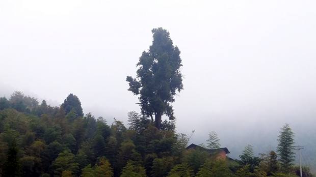 hx032_����.jpg