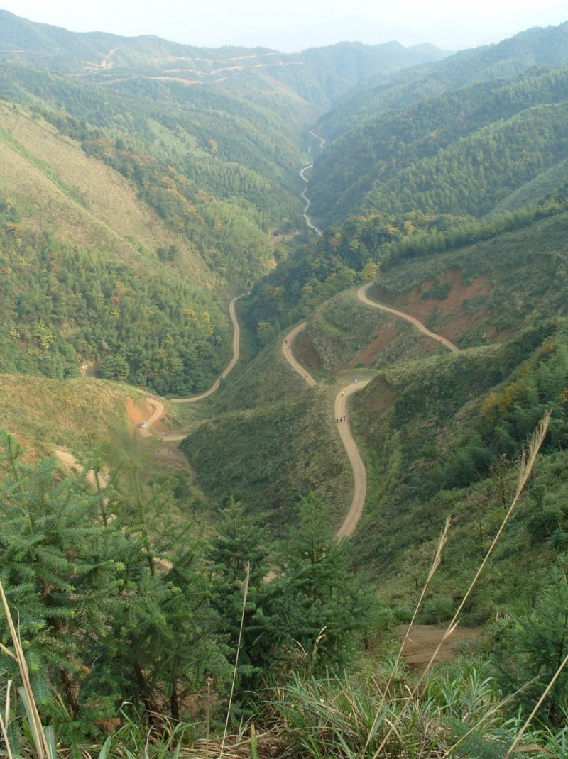 conew_conew_s1054141.jpg