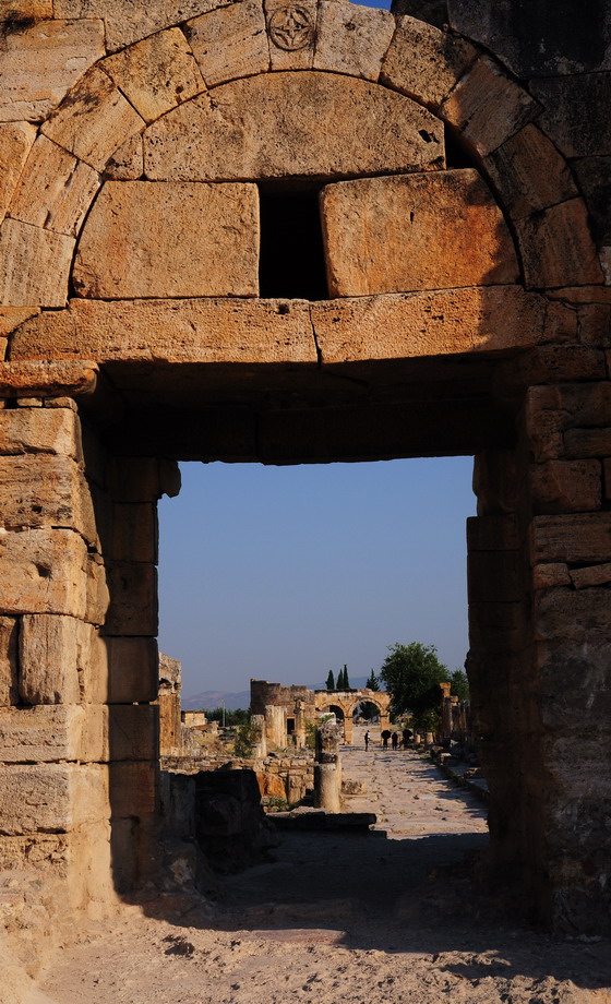 DSC_0517.jpg