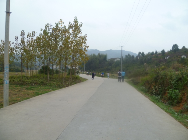 ֻ����·.jpg