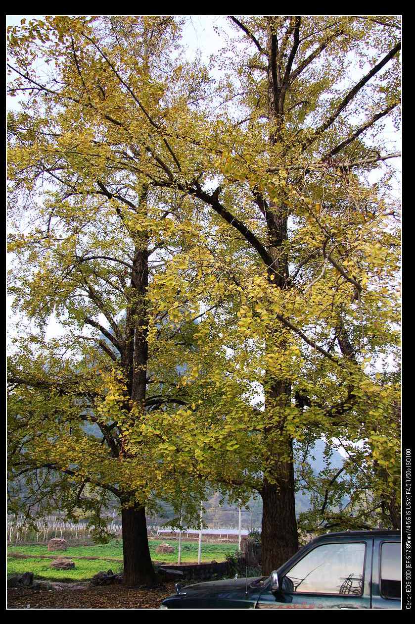 IMG_4345.jpg