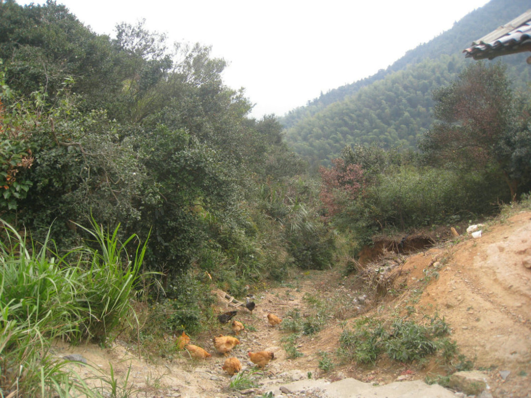20111127���ͽ�� 031.jpg