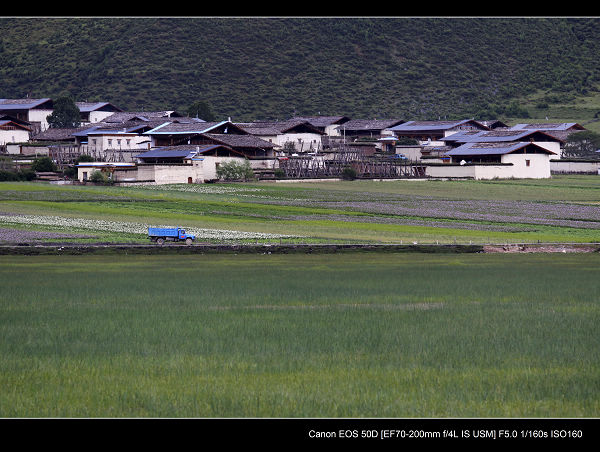 _MG_2262.jpg