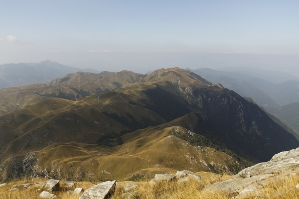 _MG_5328.jpg