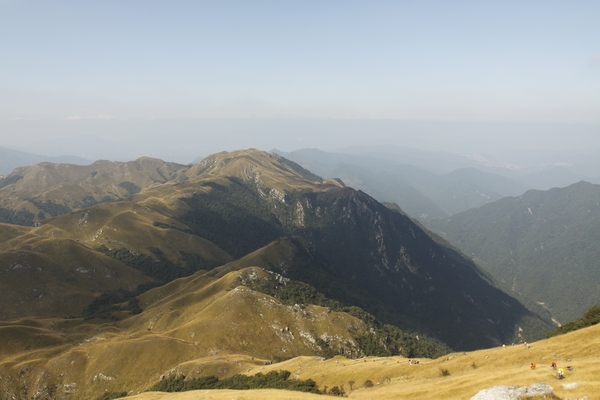 _MG_5329.jpg