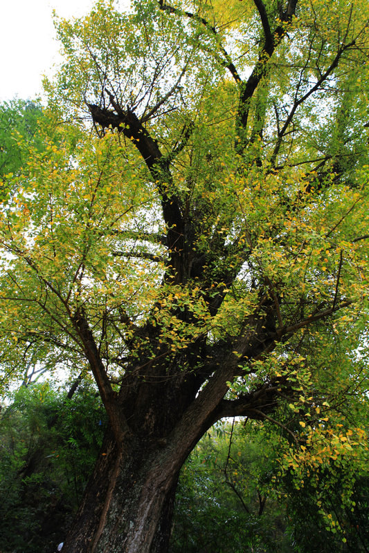 ͽ���˰�124.jpg