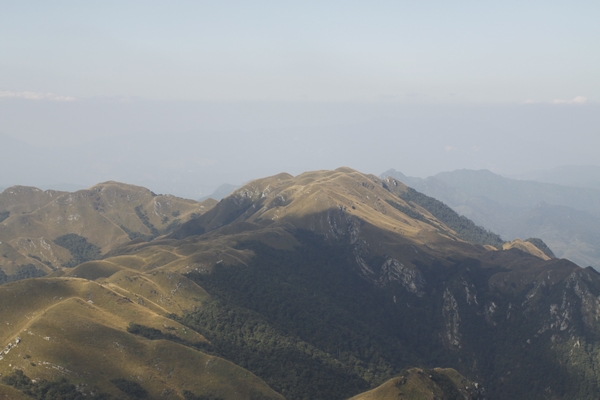 _MG_5352.jpg