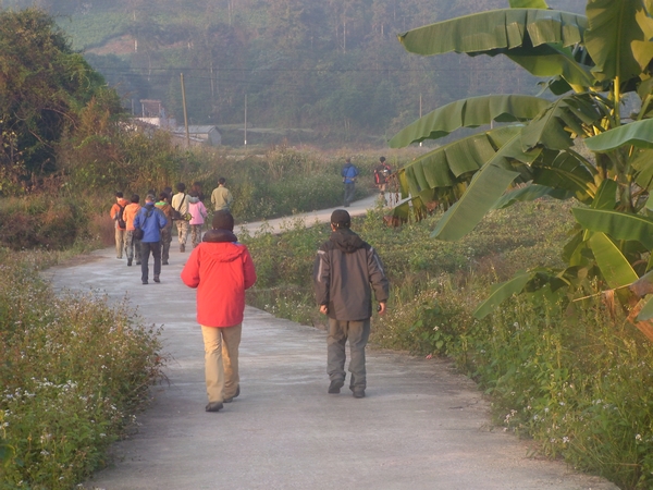 DVCI2642.jpg