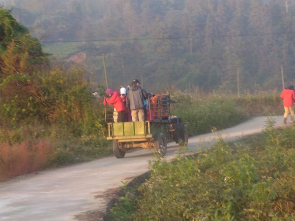 DVCI2645.jpg