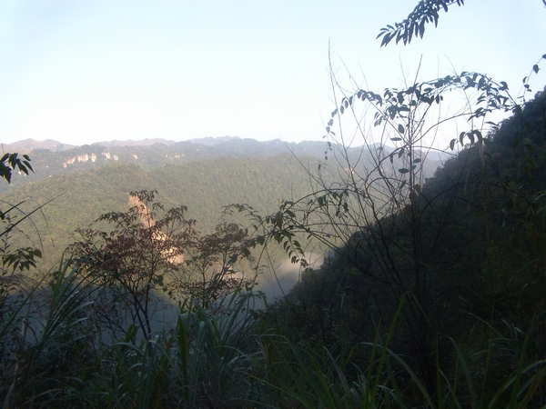 DVCI2654.jpg
