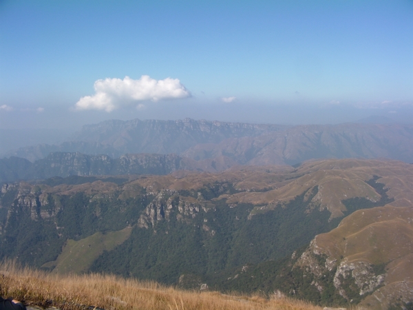 DVCI2764.jpg