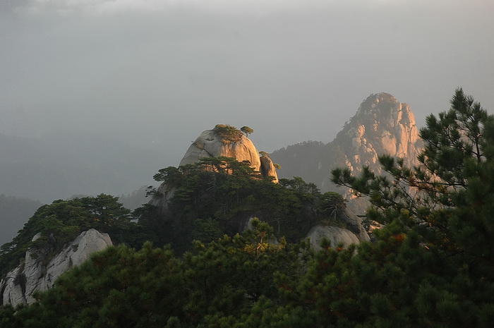 DSC_6272.jpg