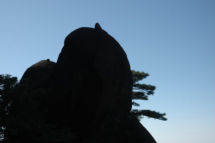 DSC_6518.jpg