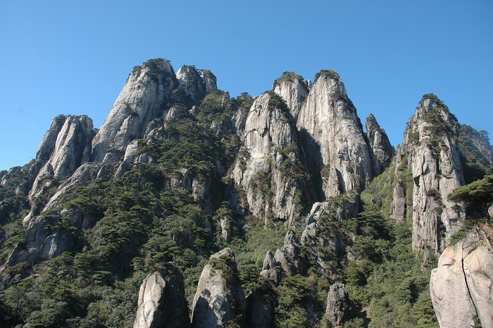 DSC_6649.jpg
