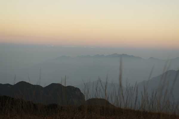 _MG_5430.jpg