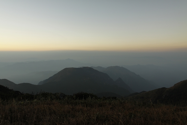 _MG_5439.jpg